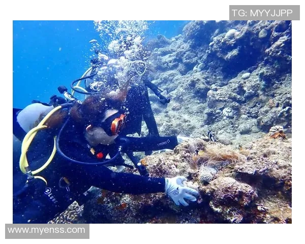 有与“关掉女潜友气瓶”者同名潜水教练被挂上网!当事人驳斥谣言